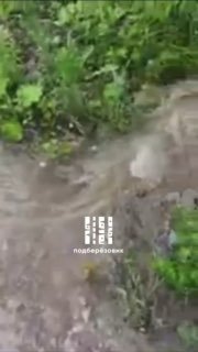 Затоплен двор жительницы Берёзовского