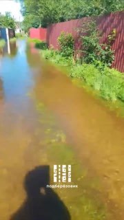 Рыбалка прямо по улицам сада в Старопышминске (видео)