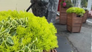 Татьяна Пермякова поздравила Березовский с днём рождения