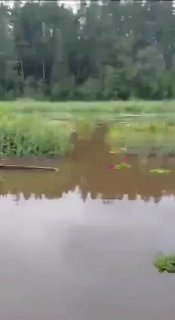 Затопление СНТ в Ключевске осталось без реакции МЧС (видео)