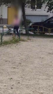 Жители Берёзовского забрали кота у детей из-за жестокого обращения (видео)