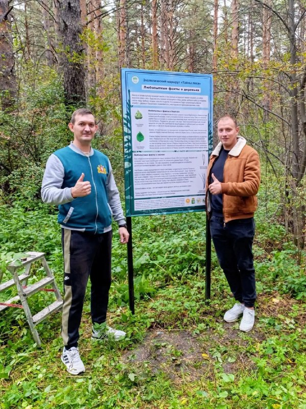 Восстановлены стенды на экомаршруте в Лесозаводском микрорайоне, освещение обещают починить за неделю
