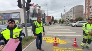 В Берёзовском округе нанесут 300 надписей «Возьми ребёнка за руку» у пешеходных переходов (видео)