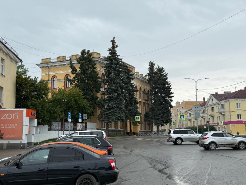 Возле Детской школы искусств №2 спилят старые голубые ели