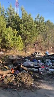 Глава Старопышминска позвала жителей на посадку кустов у стихийной свалки